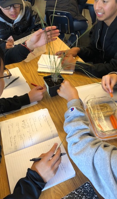 Students at Abraham Lincoln High School in San Francisco participating in an interactive plant exercise led by Prairieform's John Kamp