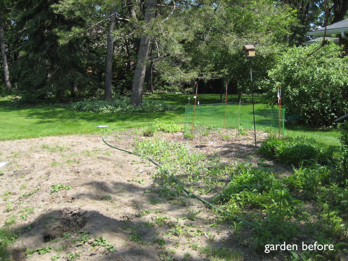 The formally wild landscape before the redesign and installation.