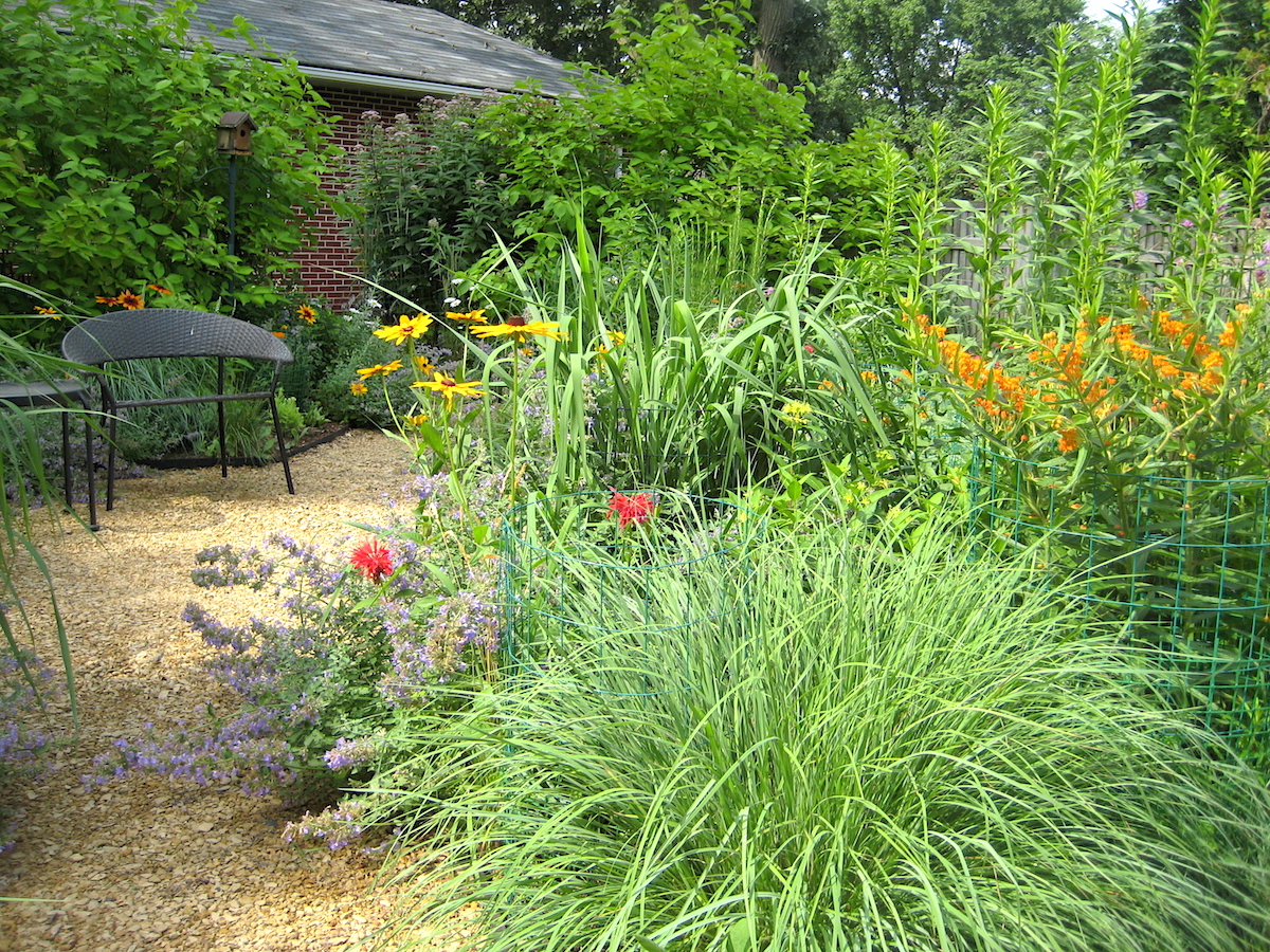 The formally wild landscape at the entrance, showing the plants filled in.