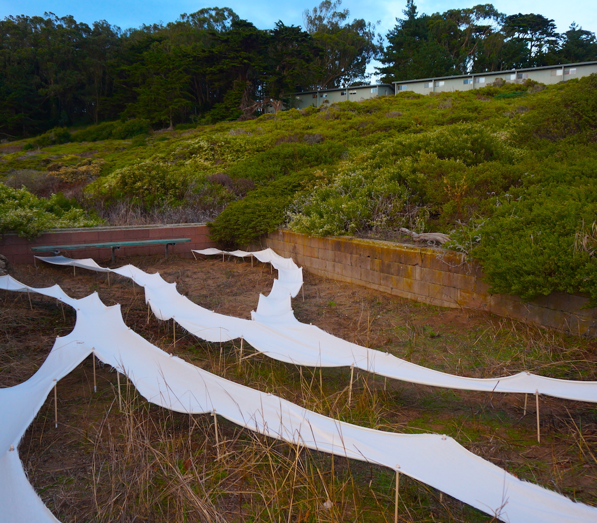 Another view of the installation, showing the hills and surrounding housing in the background.