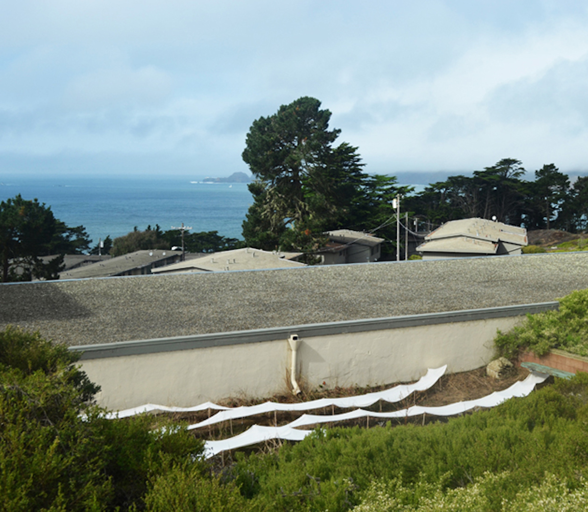 A view of the installation that shows the ocean in the background.