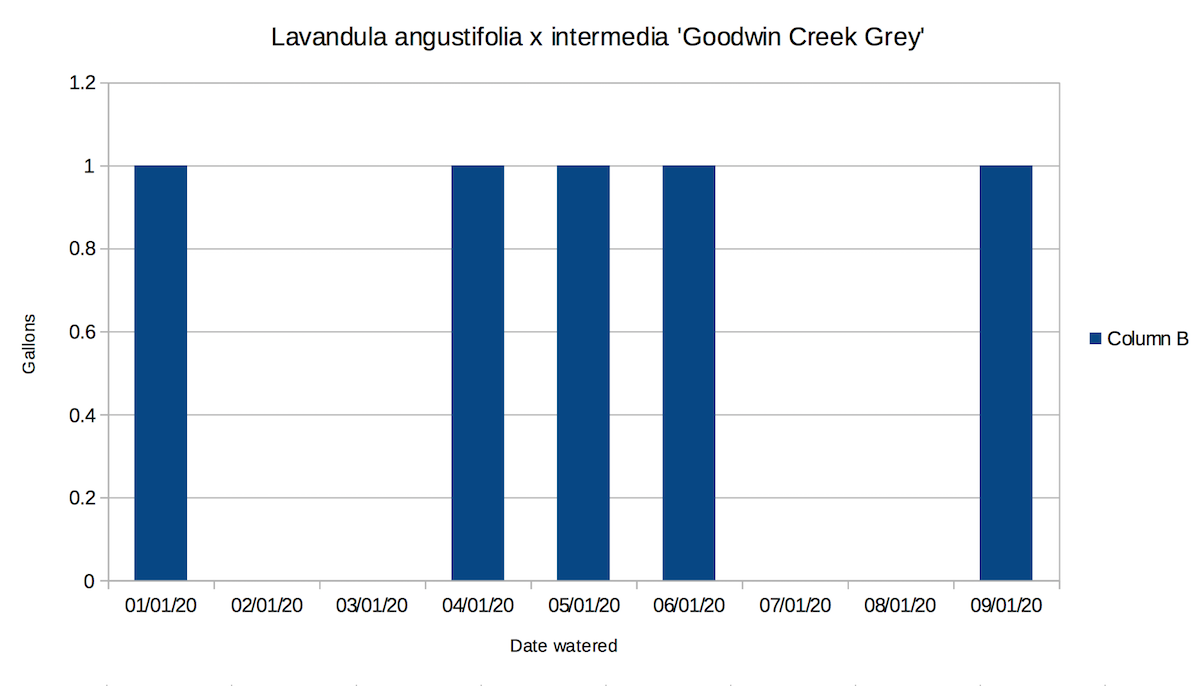 A chart showing the actual, recorded water needs of lavender in the Oakland irrigation-free landscape.