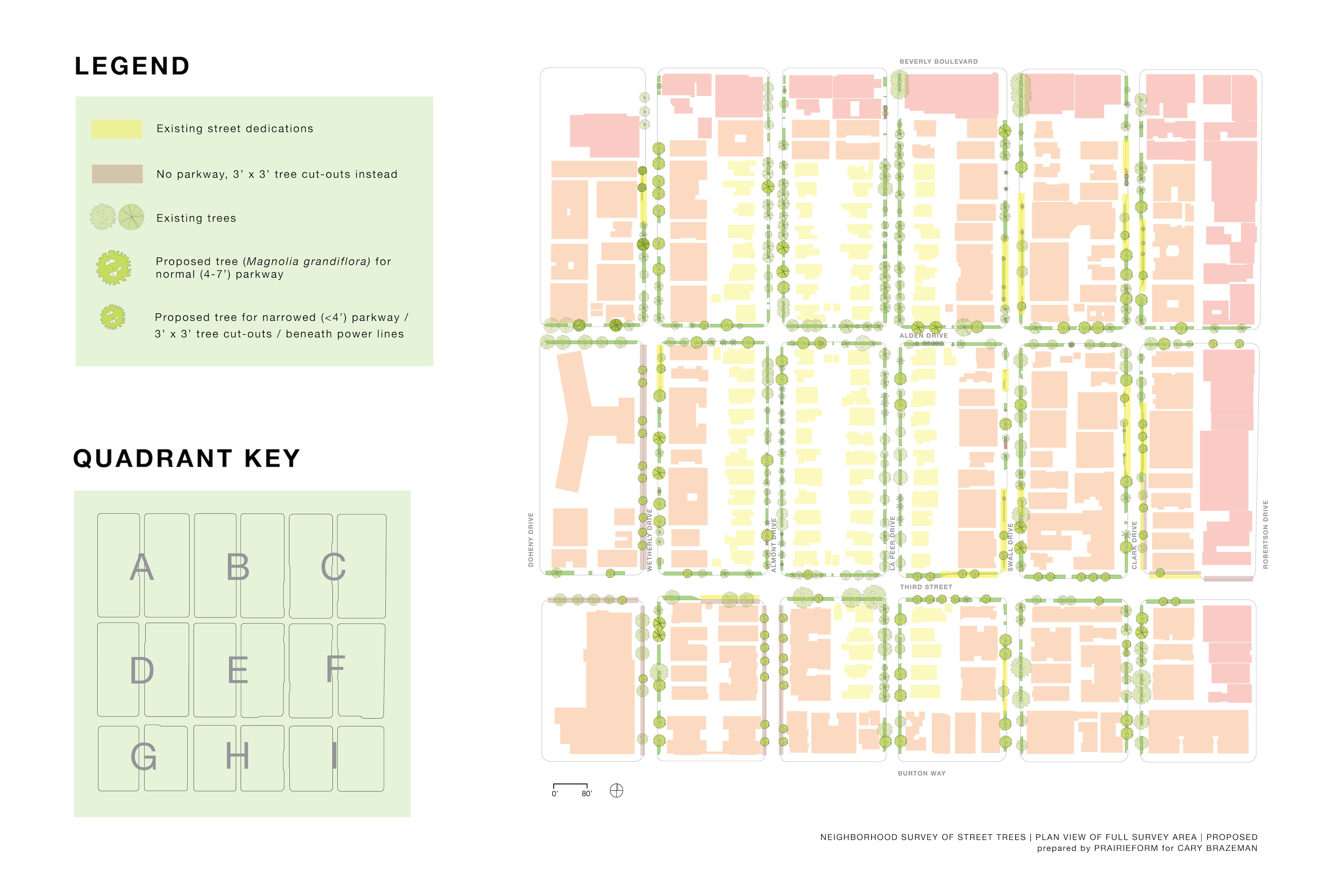 Plan view of the project area and proposed additions to the tree canopy, created by John Kamp of Prairieform.