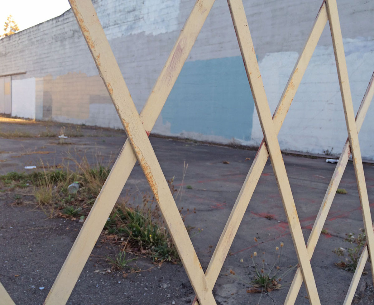 A vacant lot with weeds growing in it near downtown Berkeley.