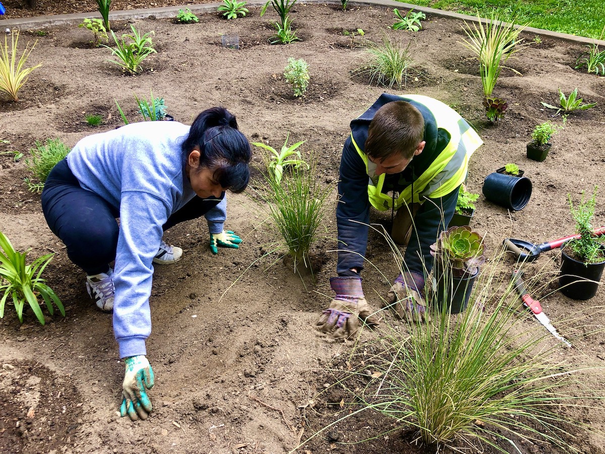John Kamp of Prairieform and Rocio Canales planting the plants for the space.