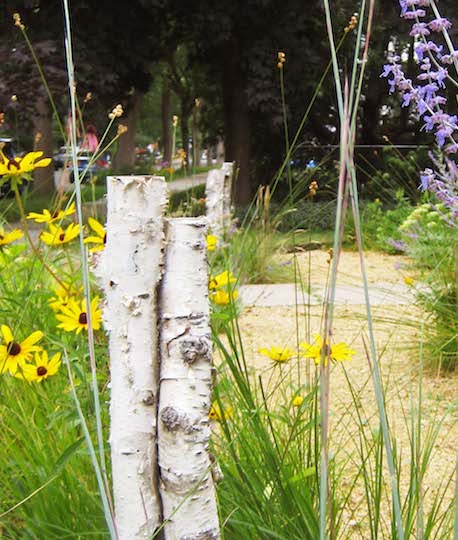 Photo of the irrigation-free landscape designed and installed by John Kamp of Prairieform in Minneapolis.